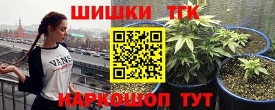 эйфоретик Лесосибирск