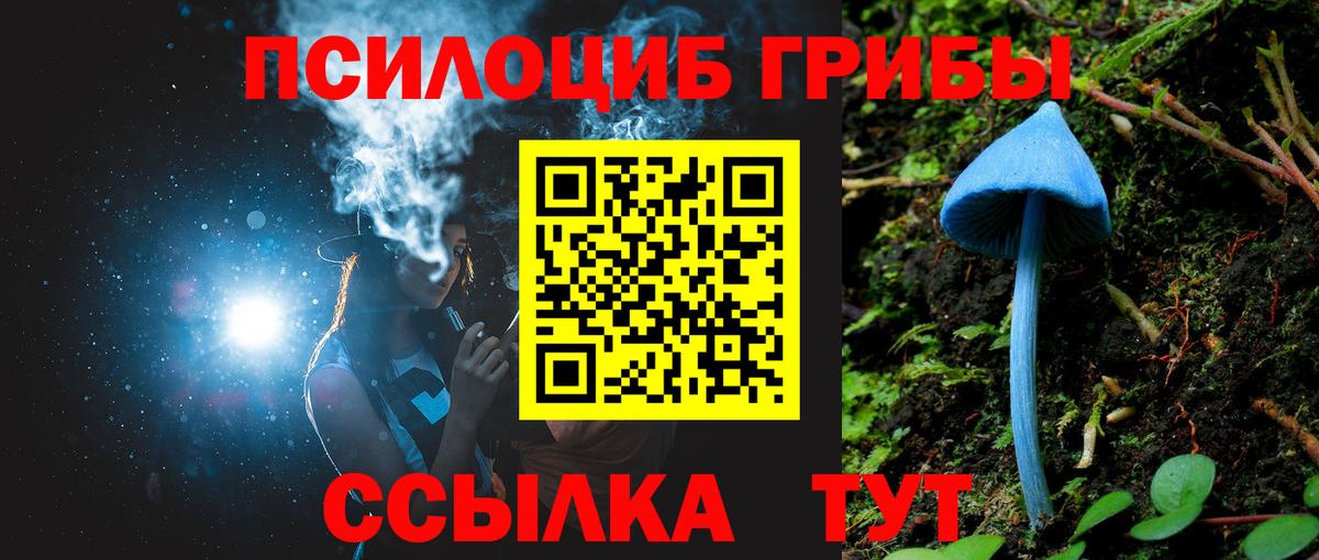 купить наркотики цена  Вход с VPN  Псилоцибиновые грибы MAGIC MUSHROOMS  Чапаевск  Галлюциногенные грибы мухоморы 